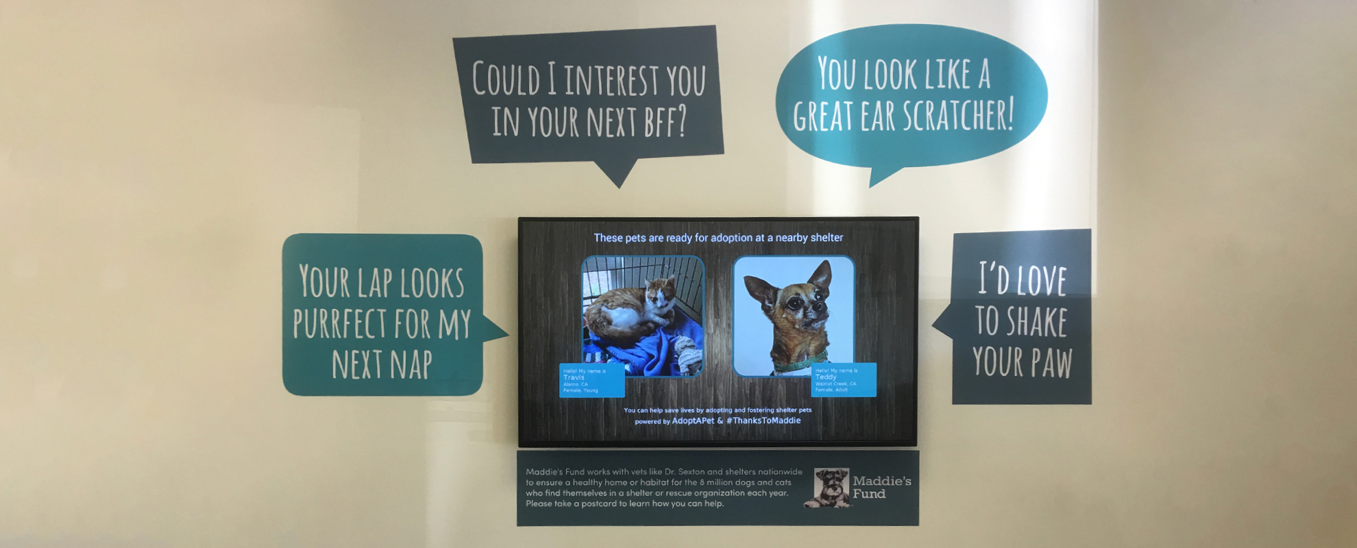 Digital signage in a modern veterinary office waiting room.